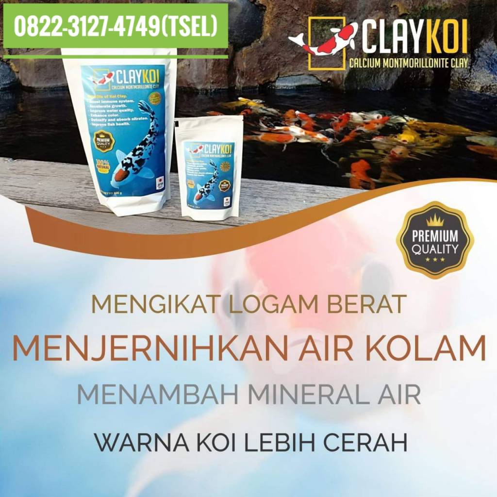 Jual Alat Penjernih Air Kolam Ikan Koi Keruh Terbaik CLAYKOI di Bogor, Harga Penjernih Kolam Koi Berbusa Terlengkap CLAYKOI di Padang, Distributor Penjernih Air Kolam Ikan Koi Berkabut Termurah CLAYKOI di Pekanbaru, Daftar Harga Obat Penjernih Air Kolam Ikan Koi Aquarium Premium CLAYKOI di Malang, Alamat Penjual Media Penjernih Air Kolam Koi Koi Berkualitas CLAYKOI di Samarinda