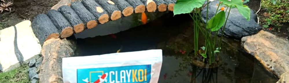 0822-3127-4749 (Tsel) Penyuplai Cara Menjernihkan Air Kolam Ikan Berwarna Hijau ,Cara Menjernihkan Air Kolam Ikan Yang Keruh CLAY KOI di Banyuwangi Barito Batam