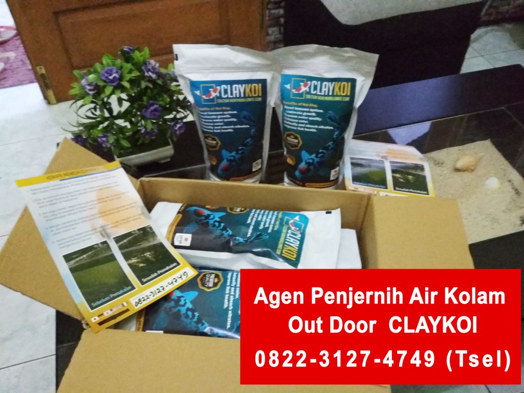Jual Alat Penjernih Air Kolam Ikan Koi Keruh Terbaik CLAYKOI di Bogor, Harga Penjernih Kolam Koi Berbusa Terlengkap CLAYKOI di Padang, Distributor Penjernih Air Kolam Ikan Koi Berkabut Termurah CLAYKOI di Pekanbaru, Daftar Harga Obat Penjernih Air Kolam Ikan Koi Aquarium Premium CLAYKOI di Malang, Alamat Penjual Media Penjernih Air Kolam Koi Koi Berkualitas CLAYKOI di Samarinda
