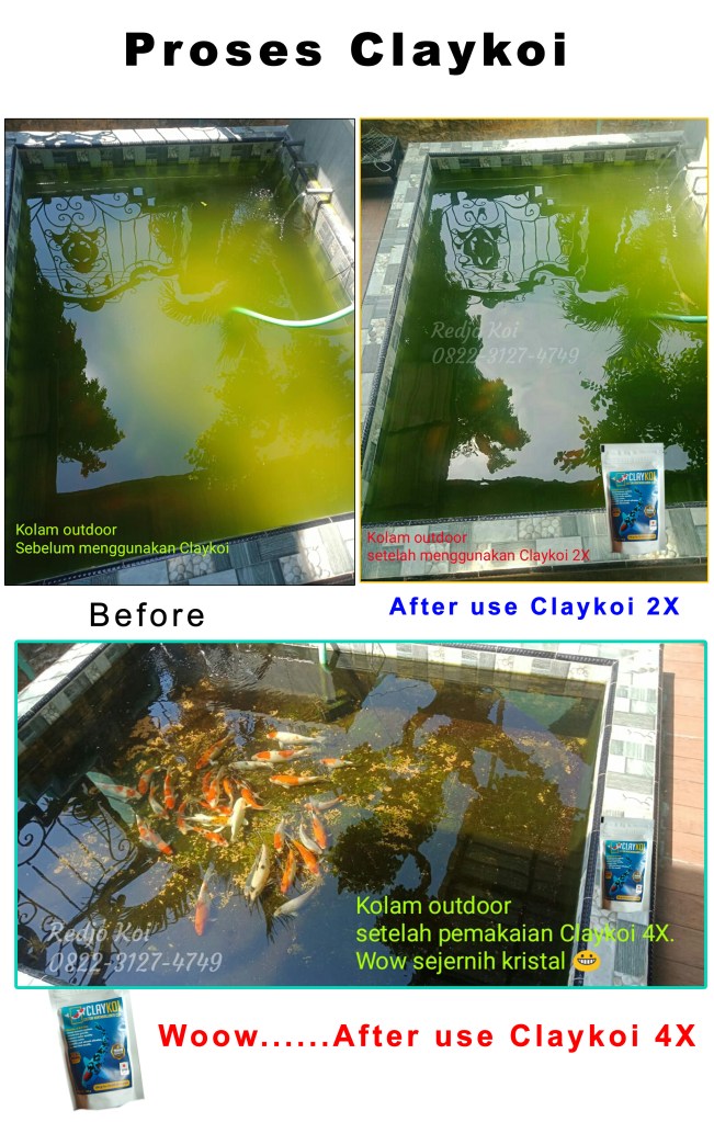 Jual Alat Penjernih Air Kolam Ikan Koi Keruh Terbaik CLAYKOI di Bogor, Harga Penjernih Kolam Koi Berbusa Terlengkap CLAYKOI di Padang, Distributor Penjernih Air Kolam Ikan Koi Berkabut Termurah CLAYKOI di Pekanbaru, Daftar Harga Obat Penjernih Air Kolam Ikan Koi Aquarium Premium CLAYKOI di Malang, Alamat Penjual Media Penjernih Air Kolam Koi Koi Berkualitas CLAYKOI di Samarinda